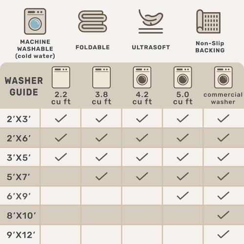 Boho Bathroom Rugs - Washable Non-Slip Soft Low Pile Area Rug for Entryway, Kitchen, and Indoor Spaces - Modern Farmhouse Design, Perfect for Boho Décor (2x3 Beige/Latte)