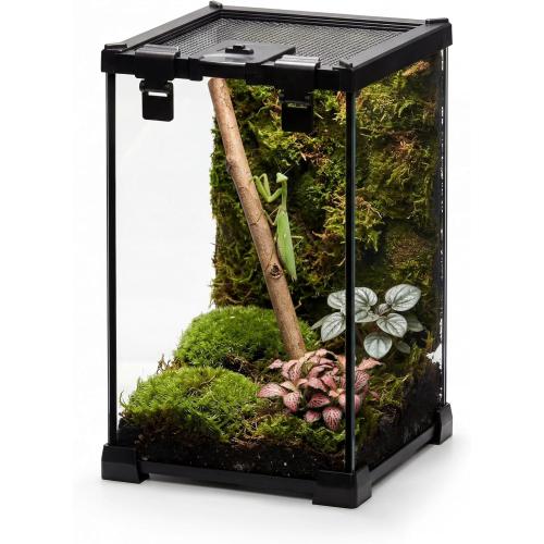 8x8x12 Escape-Proof Glass Terrarium, Top-Opening Vertical Vivarium for Small Arboreal Reptiles Such as Green Anoles, Full-View Tank with Escape-Proof Lock & Feeding Hatch