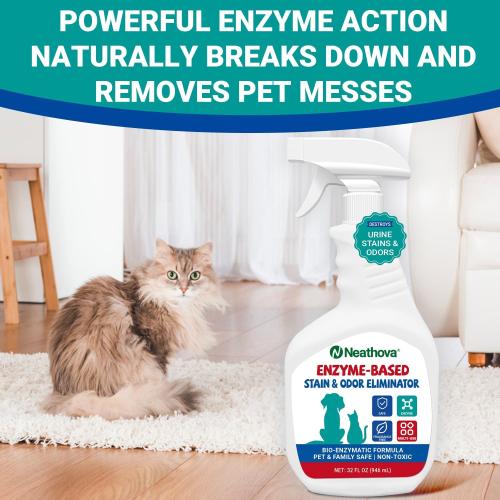 Stain & Strong Odor Eliminator, Enzyme Cleaner, Pet Odor Eliminator for Home - Carpet Stain Remover for Cats & Dog Pee - Urine Destroyer - Carpet Cleaner Spray Clear (Unscented)