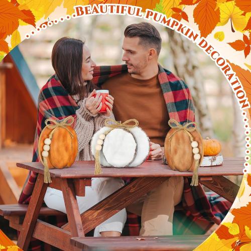 Cinnvoice 3 Pcs Fall Decorations for Home Pumpkin Table Decor