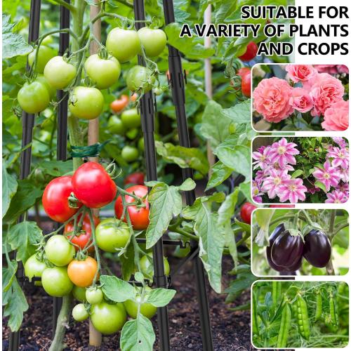 AlisisFores 4 Ft Garden Obelisk Trellis for Potted Climbing Plants