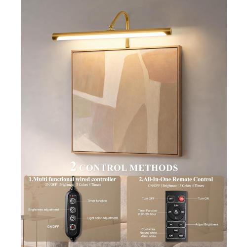 ZitoStory Plug in Picture Light for Wall, Modern Dimmable Picture Frame Lights with Remote LED Wall Art Lights for Paintings Gallery Dartboard (Gold, 16 inch)