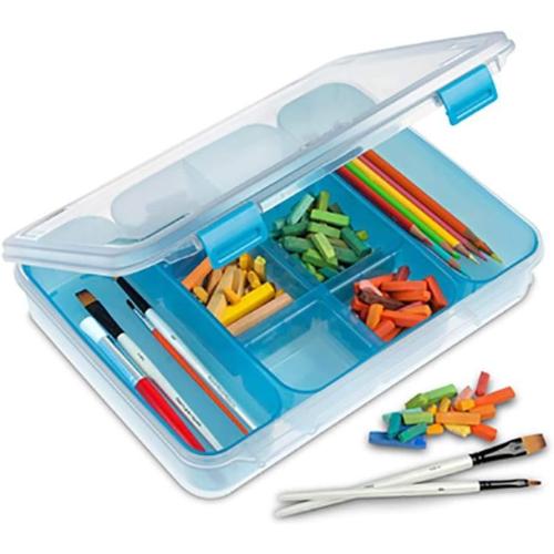STERILITE Divided Case, Multicolor