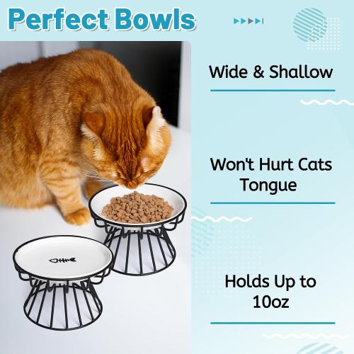 Cat Bowls, Elevated Cat Bowl, Raised Ceramic Dish with Metal Stand, Pet Water or Food Feeding Station for Indoor Cats, Kitten, Puppies and Small Dogs, Dishwasher Safe