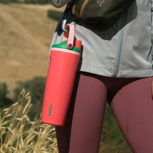Owala FreeSip Sway Stainless Steel Water Bottle 30 oz Strawberry Fields