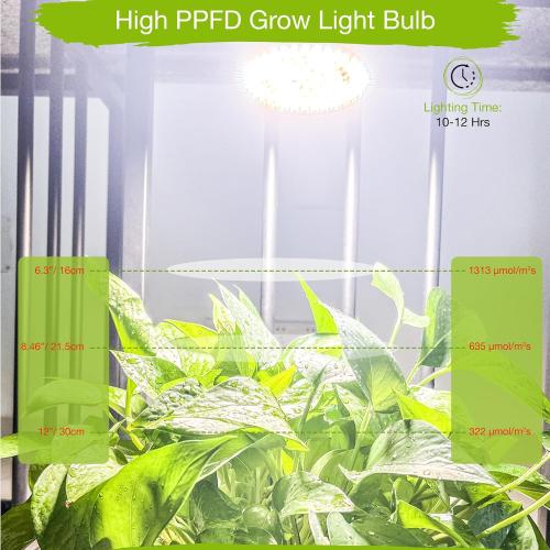 Lonwon Grow Light Bulb, PAR38, 30W, E26, Full Spectrum, 1-Pack