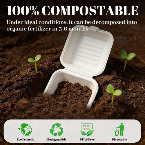 Lucklot 50 Pack 6×6 Inch White Compostable Bagasse Take Out Food Containers