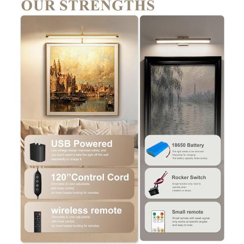 ZitoStory Plug in Picture Light for Wall, Modern Dimmable Picture Frame Lights with Remote LED Wall Art Lights for Paintings Gallery Dartboard (Gold, 16 inch)
