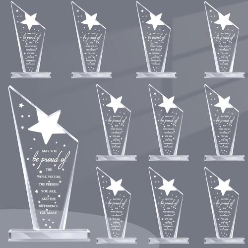 Bucherry 10 Pcs Employee Awards Thank You Trophies Acrylic, Stylish