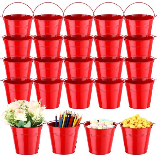 Rtteri 24 Pcs Metal Bucket 5 x 3.5 x 4.7 Inch Mini Party Buckets for Flower Pot Plant Basket Iron Small Metallic Pails with Handle for Container Candy Snack Crafts Vase Party Favors(Red)
