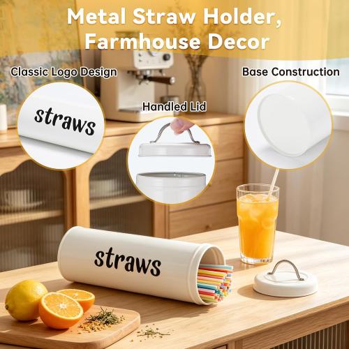 Metal Straw Holder with Handle Lid, 12 Inches Tall Drinking Straw Dispenser