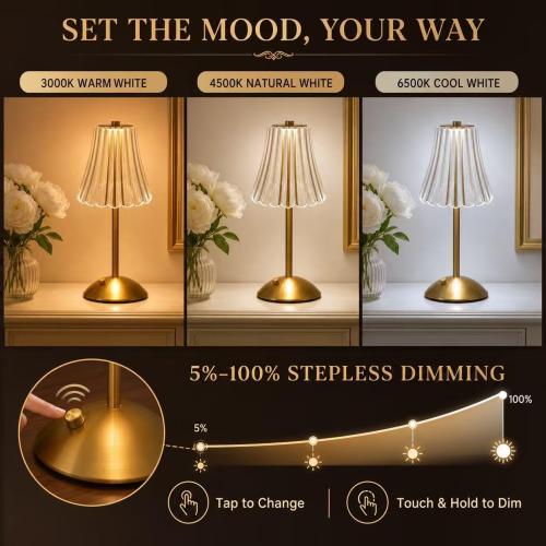 Small Cute Cordless Table Lamp Rechargeable for Kichen Countertop Gold