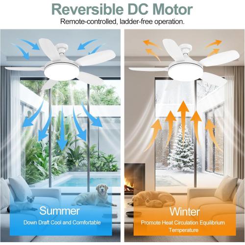 32 Socket Fan Light, 3000 Lumens Small Ceiling Fans with Lights and Remote, E26/E27 Light Bulb Fan with Reversible Motor, Dimmable 3000K-6500K Light Socket Fan for Bedroom Kitchen Garage