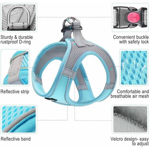 haapaw Dog Harness with Leash Set, No Pull Adjustable Reflective Step-in Puppy Harness with Thickened Padded Vest for Extra-Small/Small Medium Dogs