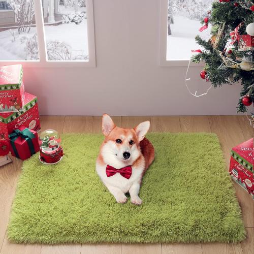 Merelax Modern Soft Fluffy Shaggy Rug for Bedroom Livingroom Small Chair Decor Rugs Feet Floor mats , Non-Slip Plush Furry Fur Area Rugs Comfy Nursery Accent Floor Carpet 2 X 3 Feet, Green