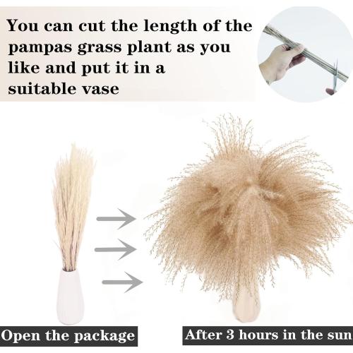 Dried Pampas Grass Decor, 100 Stems Pampas Grass Contains Bunny Tails Dried Flowers, Reed Grass Bouquet for Wedding Boho Flowers Home Table Decor, Rustic Farmhouse Party (17, White and Brown)