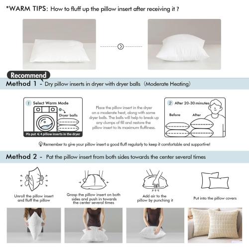 MIULEE Euro Pillow Inserts 2 Pack, Throw Pillows for Couch Bed