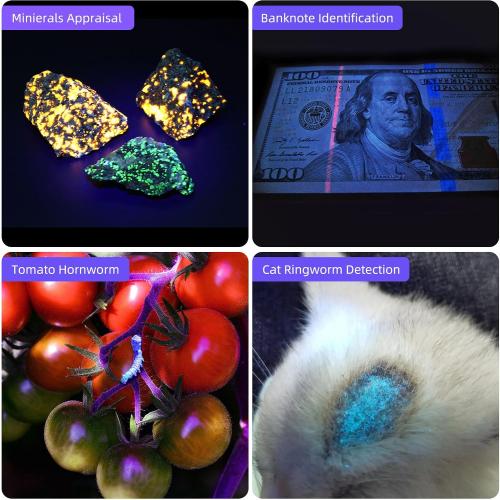 DARKBEAM UV Flashlight Filtered 365nm Black Light Woods Lamp Ringworm, Mini
