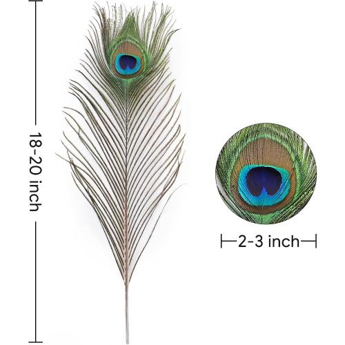 Larryhot Natural Large Peacock Feathers Bulk,40Pcs,18-20Inch