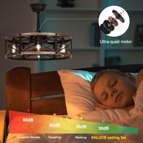 SHLUCE 22 Caged Ceiling Fan with Light and Remote, Farmhouse Fandelier