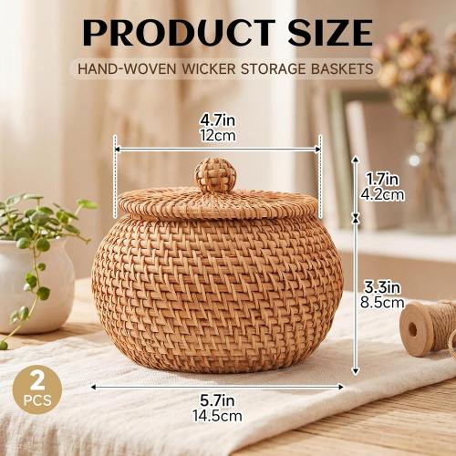 2 Pack Handwoven Round Rattan Storage Baskets with Lids, Small Decorative