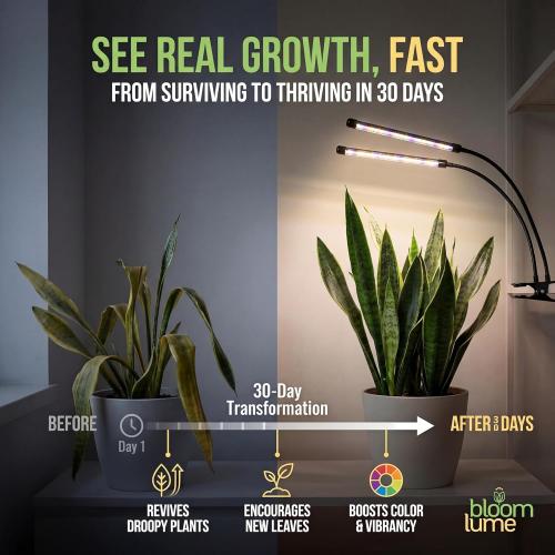Bloom Lume LED Grow Lights for Indoor Plants Full Spectrum 6000K -