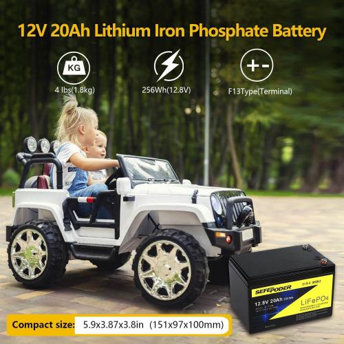 SEFEPODER 12V 20Ah Lithium LiFePO4 Deep Cycle Battery (2 Pack), 4000 Cycles Rechargeable Battery for Lighting, Power Wheel, Fish Finder with and More Built-in 40A BMS(Screw Terminal)