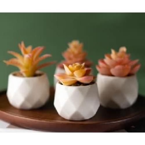 VIVERIE Mini Orange Artificial Succulent in Pots (White Ceramic, 4 Pot Set) Fake Plants for Indoors, Office Home Halloween/Christmas Decor Gifts-Faux Plant Gifts for Women