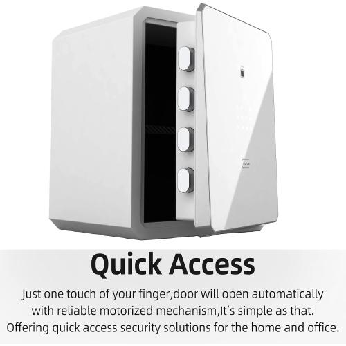 Family Fingerprint Password Safe Box with Key,Cabinets for Home Offcie,Security Box,Document safe,Lock box,Case Box, 2.1Cubic feet White