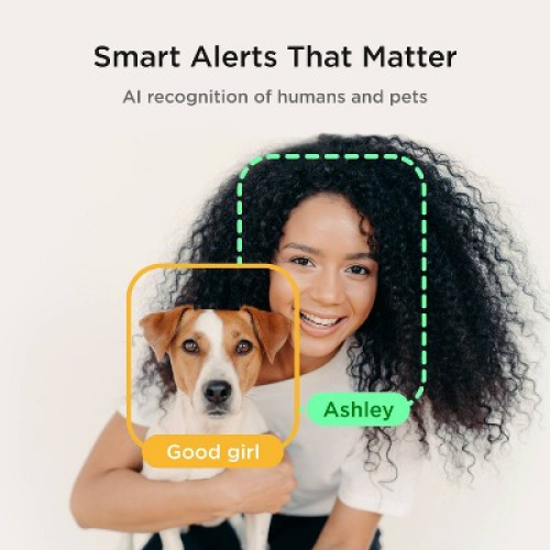 Petcube Bites 2 Lite Interactive WiFi Pet Monitoring Camera with Phone App and Treat Dispenser