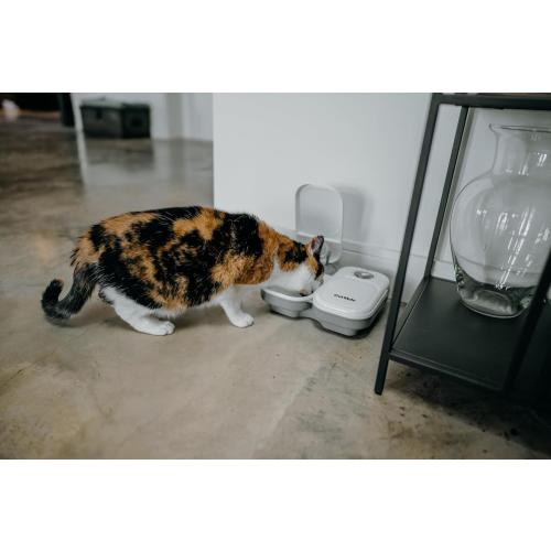 Cat Mate 2-Meal Automatic Feeder, 400g Per Bowl, Wet & Dry Food, White