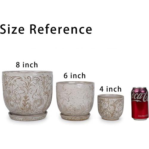 Decorative Ceramic Planter Pot with Saucer, Brown with Gold and Silver Owl Pattern, Indoor Garden Container with Drainage (White, 6 inch)