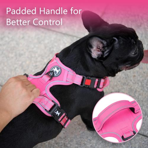 PoyPet No Pull Dog Harness, Reflective Vest with 2 Leash Clips & Handle