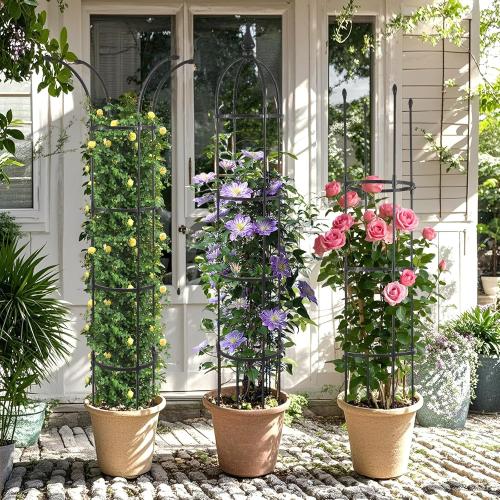WellSign 2Pack 6.6ft Obelisk Trellis for Climbing Plants Outdoor Indoor
