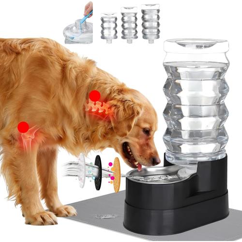 RIZZARI Automatic Dog Water Dispenser: 9L Black Elevated Feeder with Stainless Steel Dish for Elderly Dogs with Spinal Issues - Gravity-Fed Wide-Mouth - Non-Slip - Stable Base for Home or Garage Use