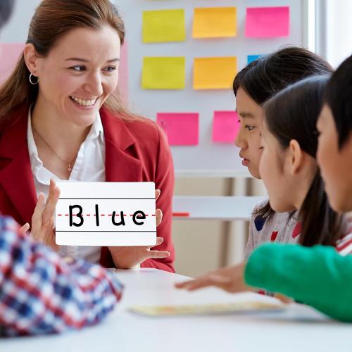 Magnetic Sentence Strips for Whiteboard,3x12ft Roll