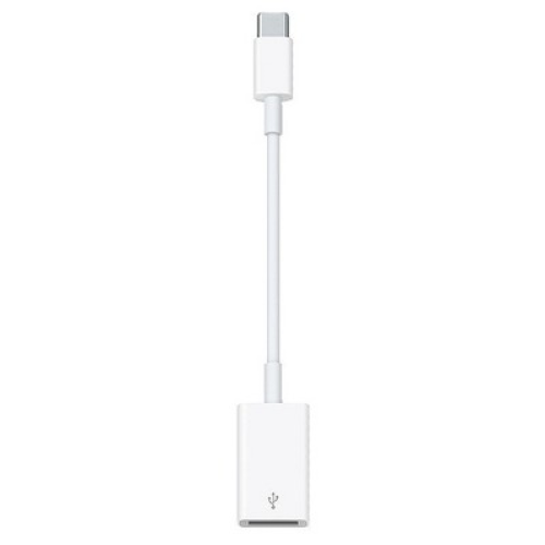 Apple USB-C to USB Adapter - 6.1in