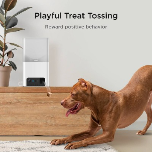 Petcube Bites 2 Lite Interactive WiFi Pet Monitoring Camera with Phone App and Treat Dispenser
