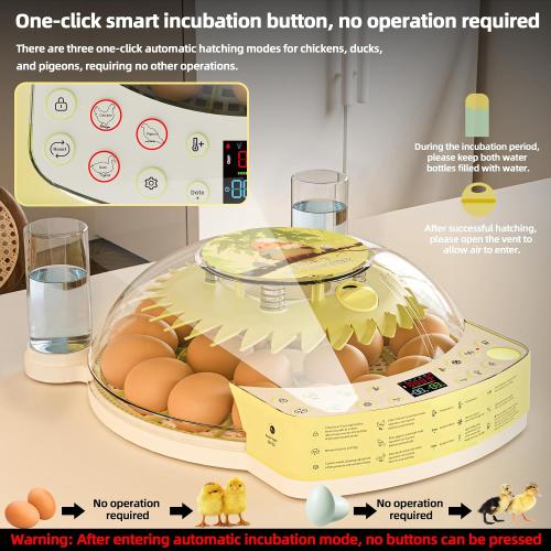 22 Egg Incubators for Hatching Eggs, Temperature & Humidity Control, LED Egg Candler, External Water Bottle Refill, 360° Clear View Window for Chicken Duck Pigeon