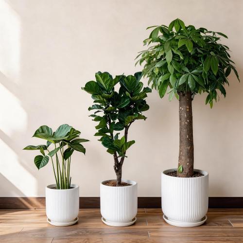 Deep Dream 12 Inch Ceramic Pots for Plants, Heavy Plant Pot for Indoor Outdoor Plants, Large Plant Pot with Drainage Hole and Saucer, Modern Tall Flower Pot, Gifts for Plant Lovers, White