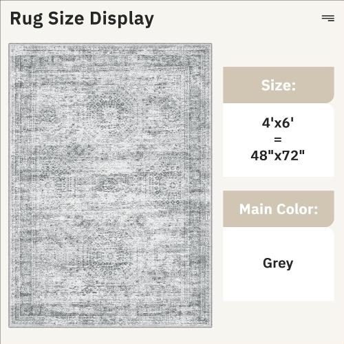 Soalmost 4x6 Area Rug for Living Room, Washable Rugs Non-Slip, Grey