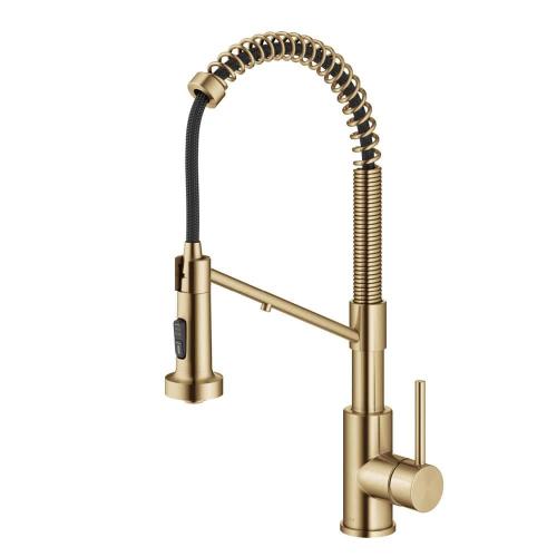 Bolden 2-in-1 Commercial Style Pull-Down Single Handle Water Filter Kitchen Faucet in Brushed Brass