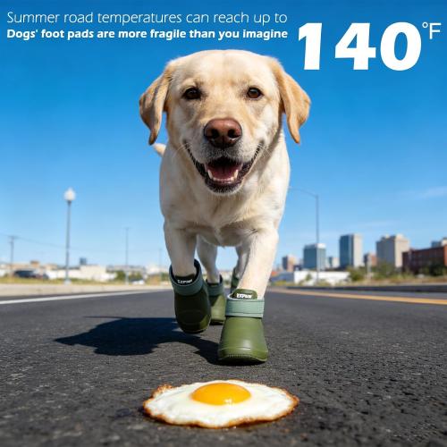 EXPAWLORER Dog Shoes for Hot Pavement Small Medium Large Dogs, Waterproof Non-Slip Dog Summer Booties with Socks, Easy On & Off Pet Boots & Paw Protectors, Easy-Clean for Beach Outdoor Rain (Green L)