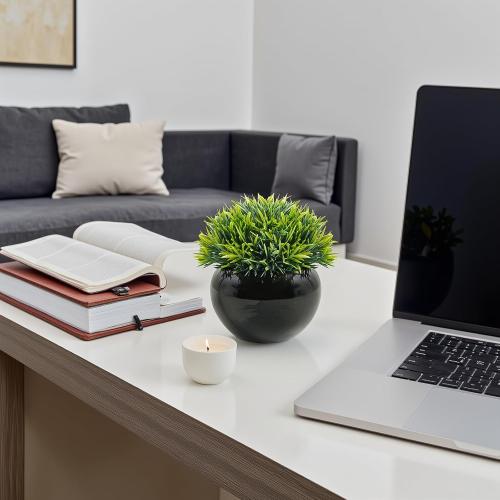 Velener Small Artificial Succulents Grass Desk Plant for Office, Fake Sage Plants for Shelf Decor, Mini Faux Plant Indoor, Masculine Home Decor, Coffee Table Decor, Bathroom Counter Decor in Pot