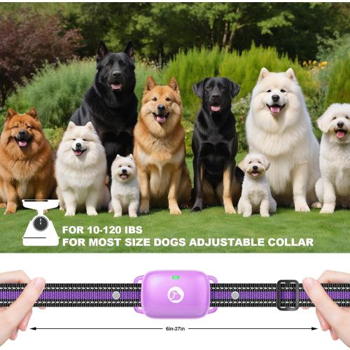 Shock Collar for Dogs 2600FT,Dog Training Collar with Remote Purple