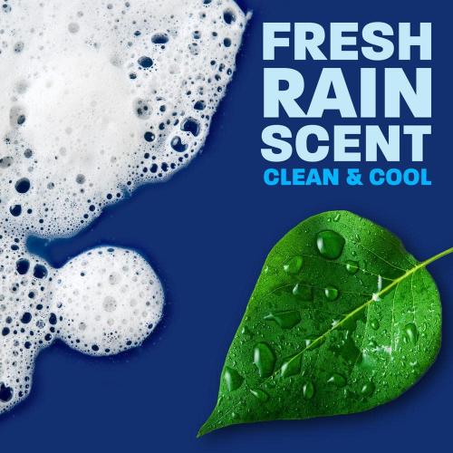 Platinum Ez-Squeeze 24.3 oz. Fresh Rain Scent Dish Soap 2 pack