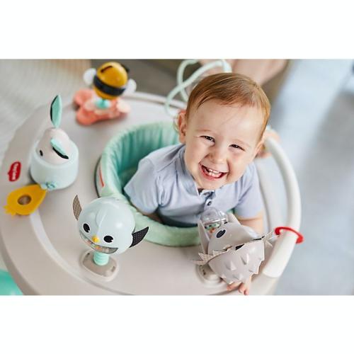 Tiny Love® Meadow Days™ 4-in-1 Here I Grow Activity Center in Grey
