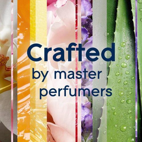 3.35 fl. oz. Sheer Vanilla Embrace PlugIns Scented Oil Refill (5-Count)