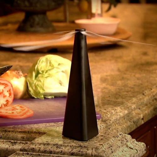 2 pack Fly Fan, Black