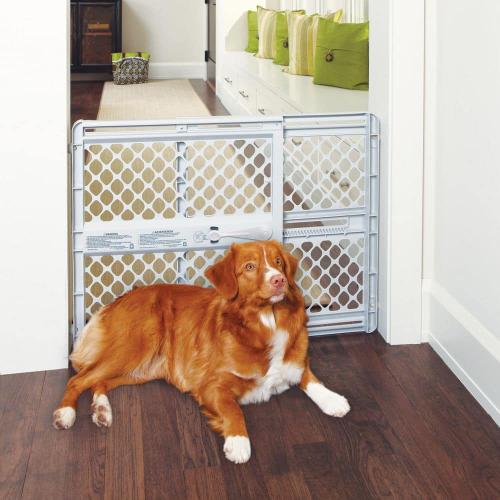 Super Gate Classic
